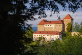 Rooms & Apartments Podsreda Castle